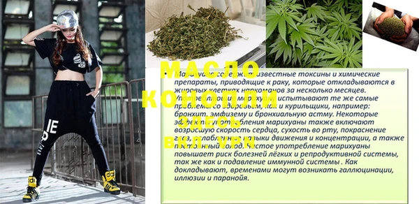 индика Нягань
