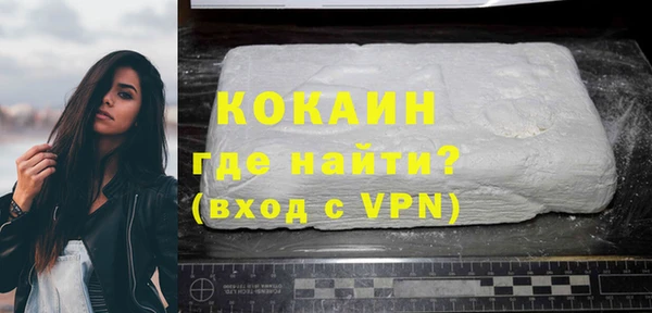 индика Нягань