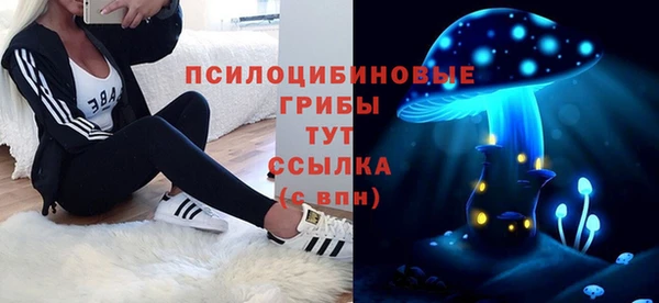 индика Нягань