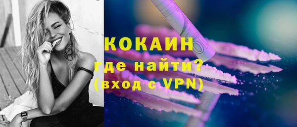 индика Нягань