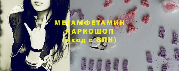 индика Нягань