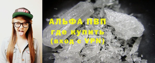 индика Нягань