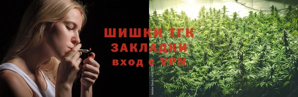индика Нягань